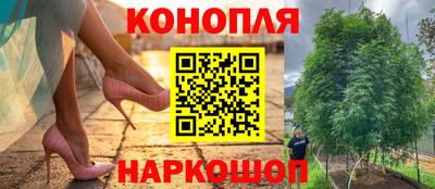 jwh Туймазы
