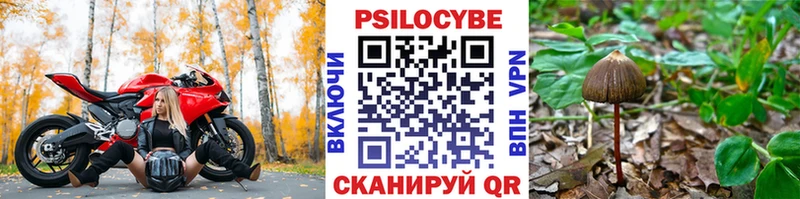 даркнет сайт  Подольск  Псилоцибиновые грибы GOLDEN TEACHER 