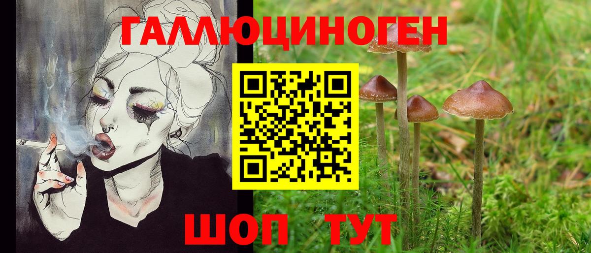 купить наркоту  Галлюциногенные грибы Psilocybine cubensis  Вход с VPN  Подольск 